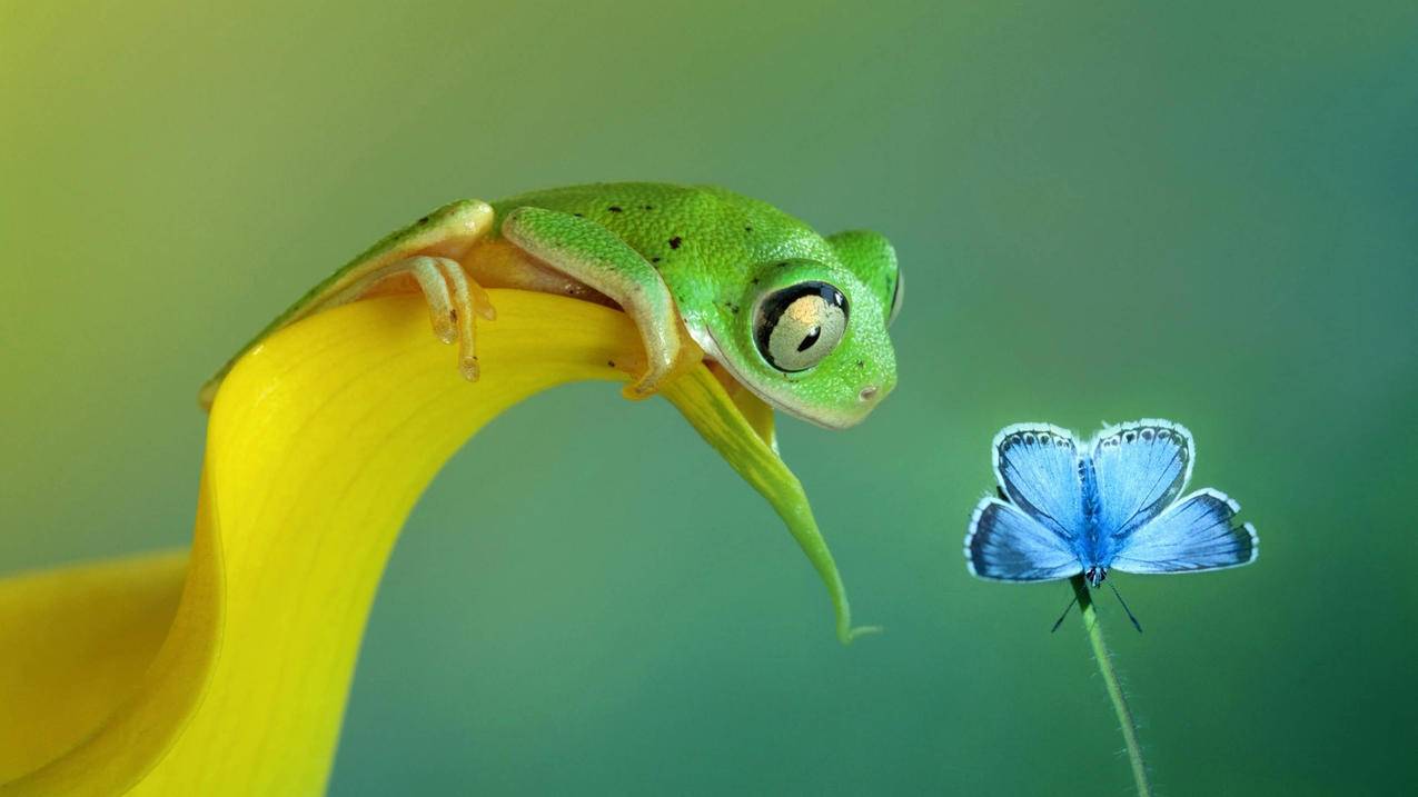 hero-image